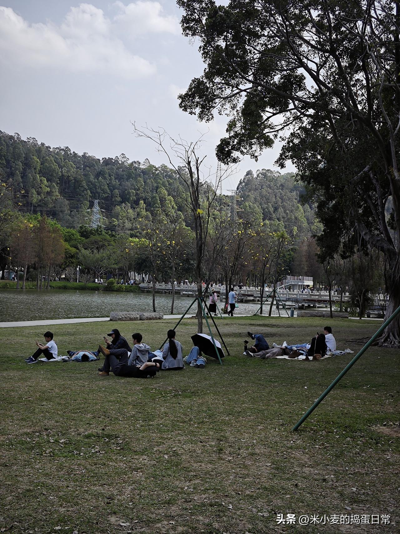 顺峰山公园天幕禁入后的尴尬，连躺平都没地方了
 
周末去顺峰山公园凑露营的热闹，