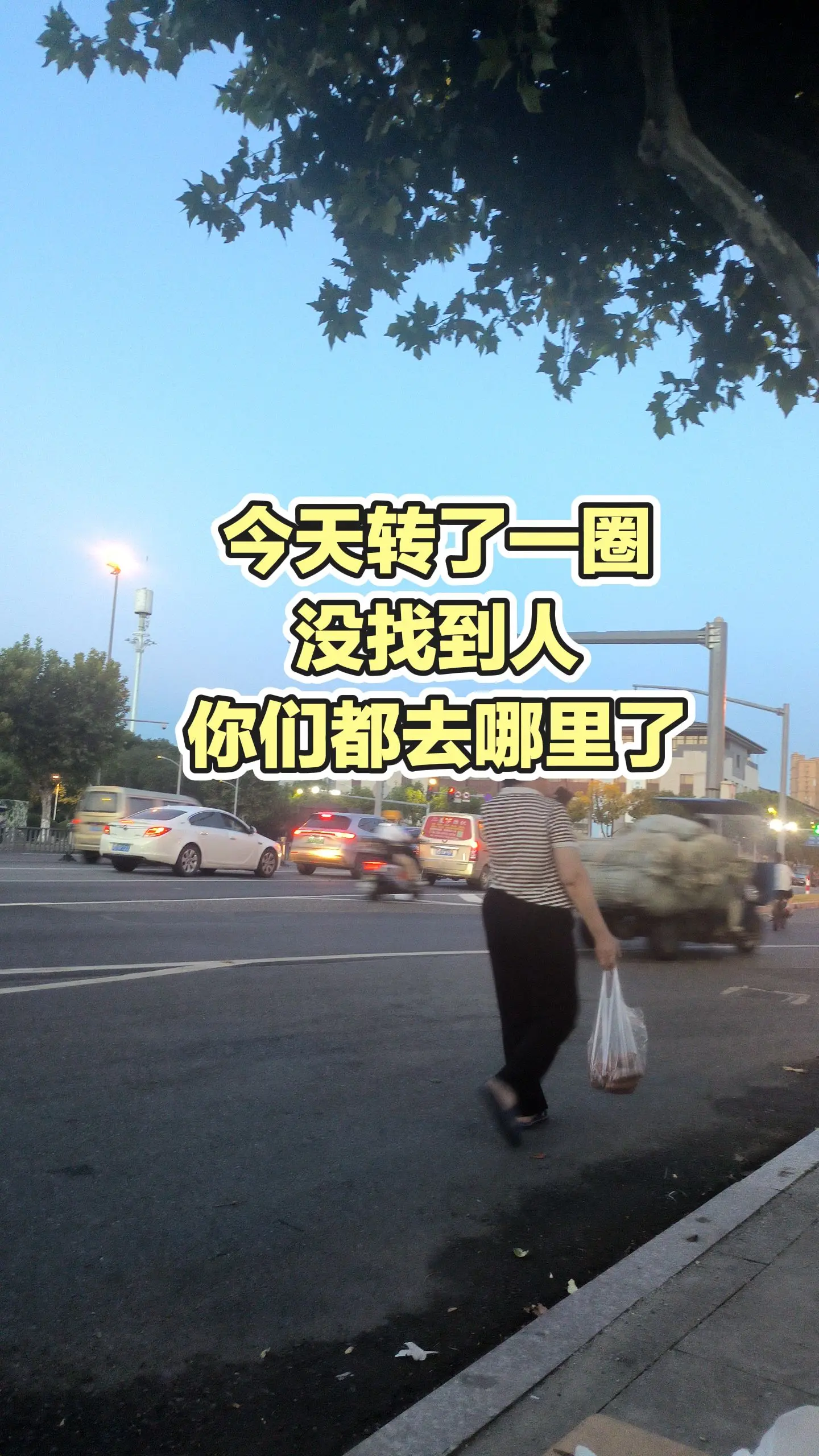 每日推文
