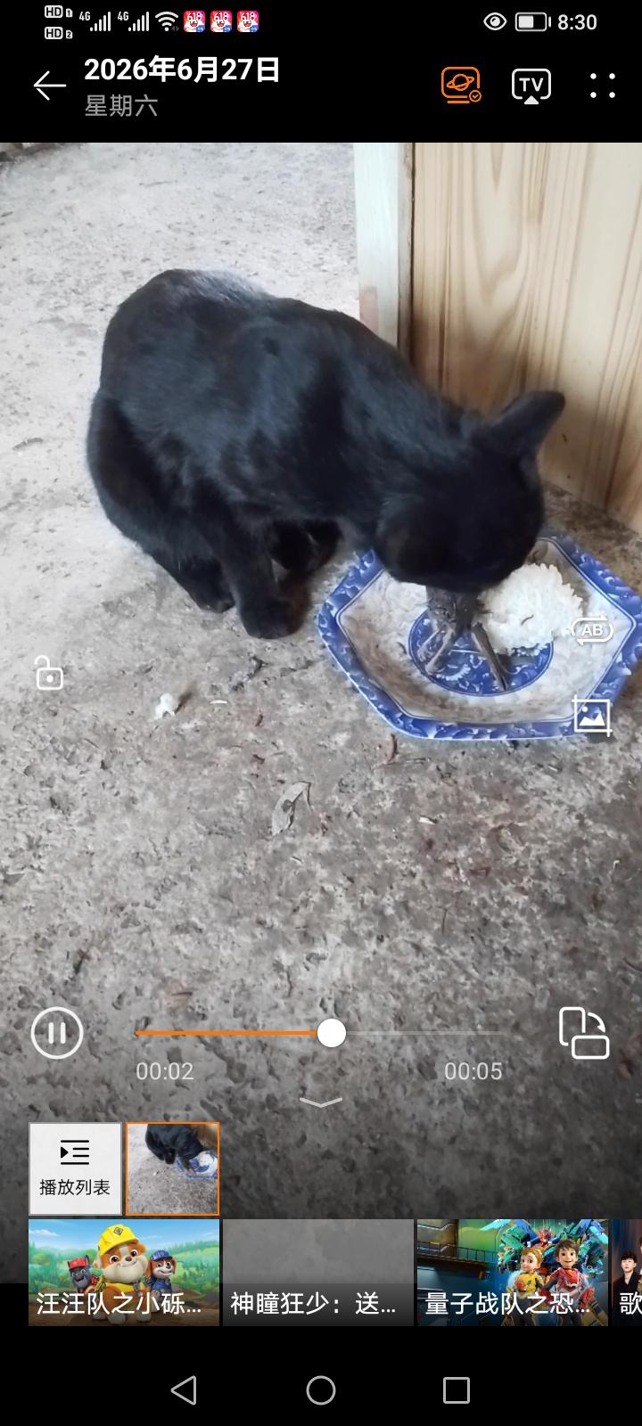 我家猫咪饿坏了。毕竟50包鸭胸肉，一块多一包，它5天就能吃完。今天没吃的了，这连