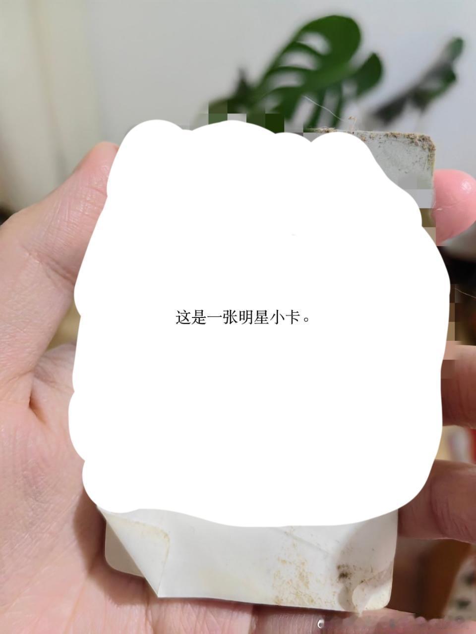 49358【丑猫】卧槽，测报你这下真的不能给我拒稿了……这猫心灵也太丑了，我周六