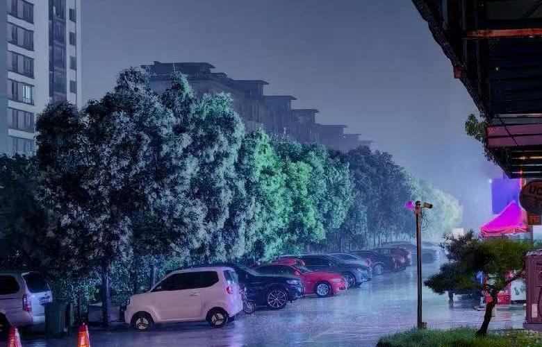 8月11日，她走了。看着窗外下着瓢泼的大雨，心情无比的沉重。无比地怀念刚刚去世的