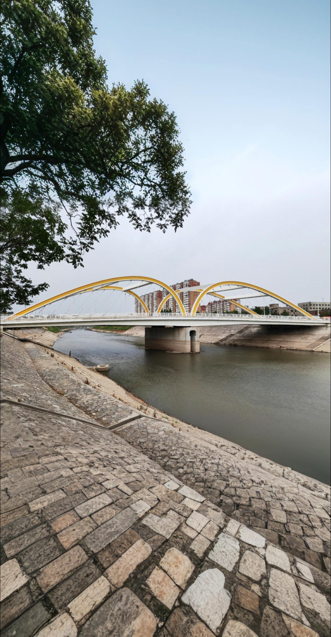 颅内感染抗生素选择。