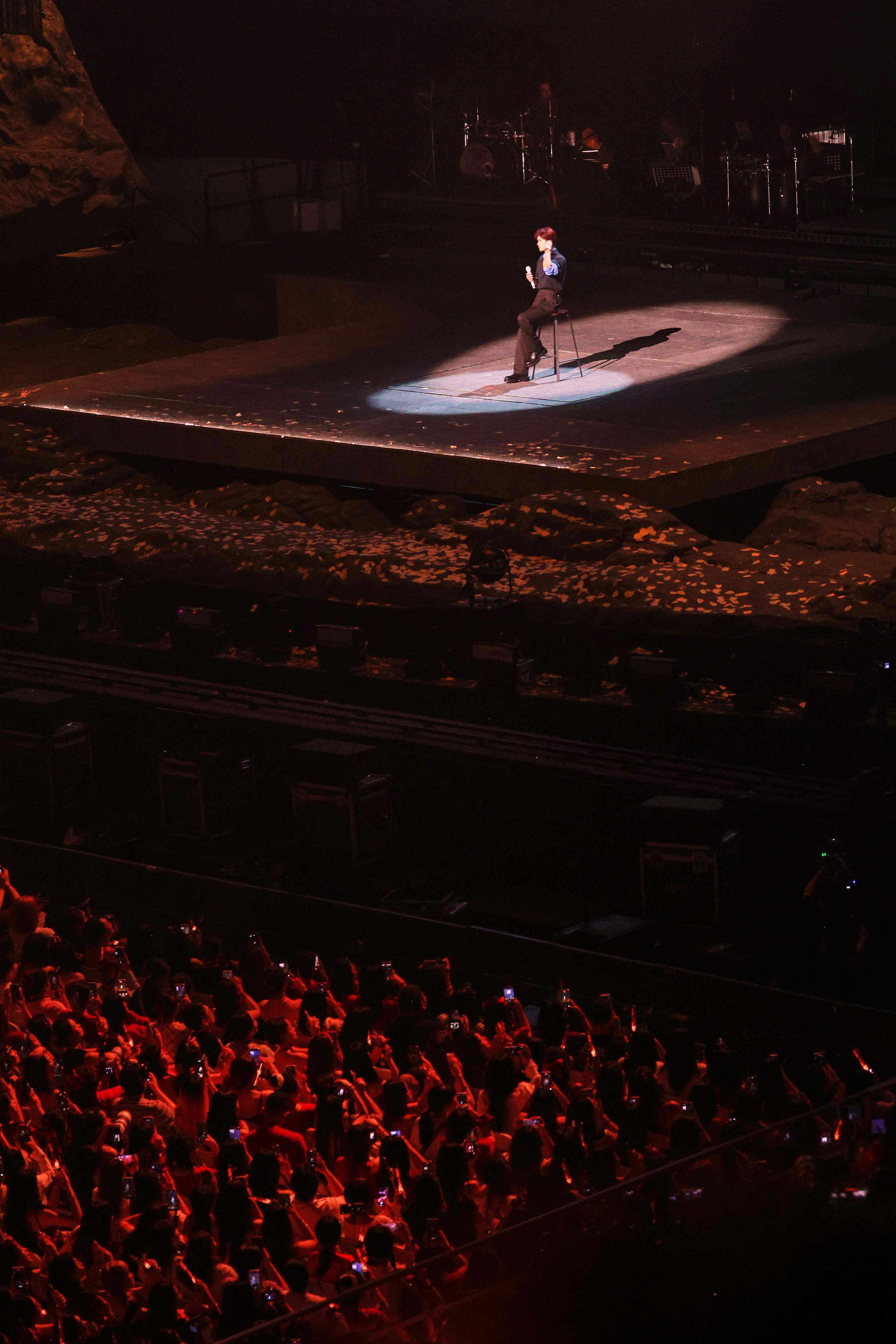 万鸟归巢找妈妈 