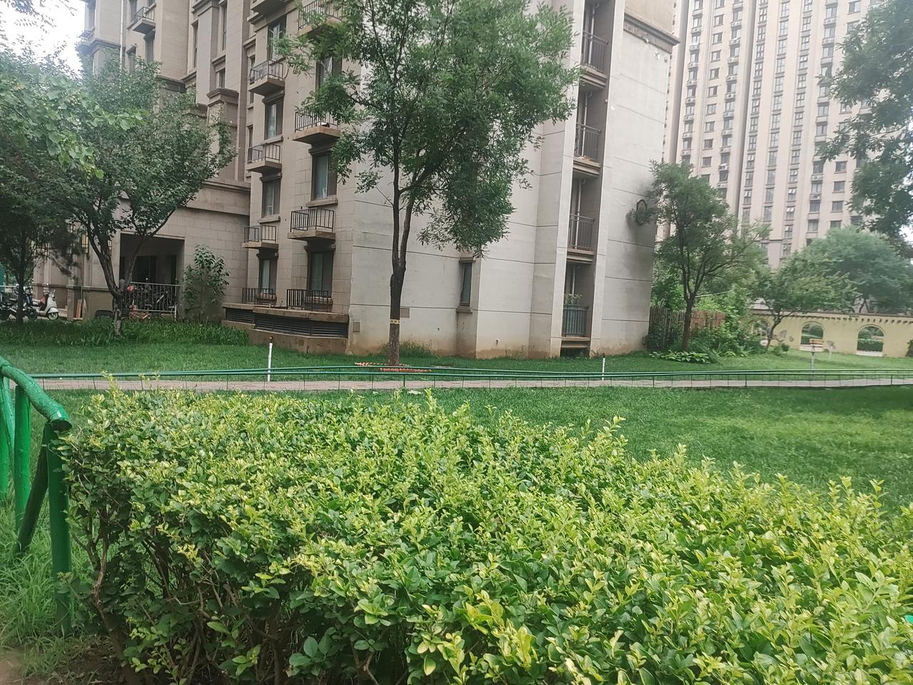 我是个勤奋的人，会坚持日更的，
顺便赚点加油包[笑哭]，大家有一样的吗？