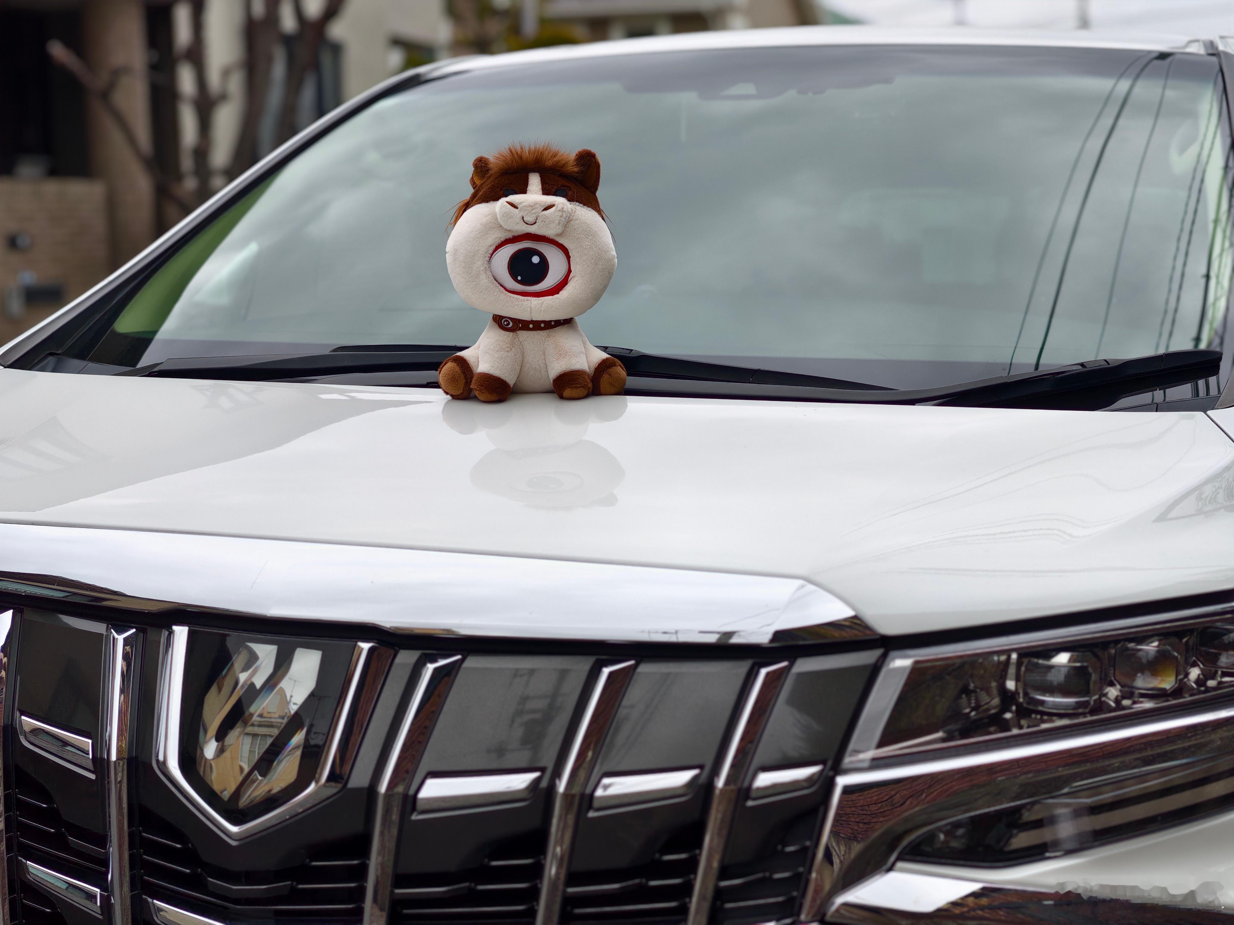 感受一下日本验车的价格。法子这个月验车到期，今天终于抽时间去丰田4S店把车送检。