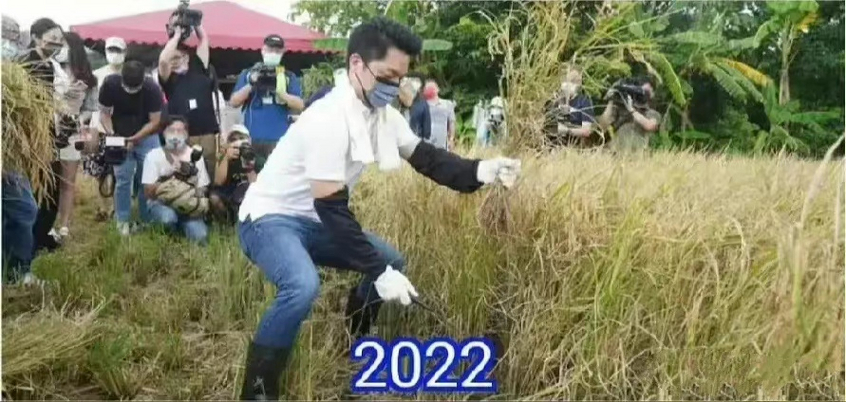 #蒋万安说对上海我很有feel# 竟然还有吹捧蒋万安这种黄毛小儿的？他不是借了蒋