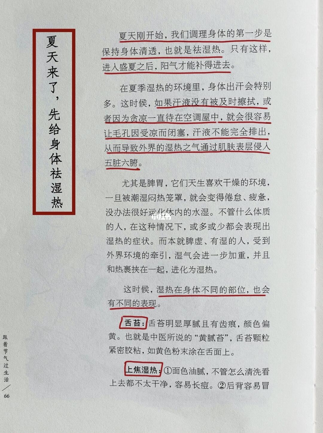 立夏到啦，抓住时机正确去湿热