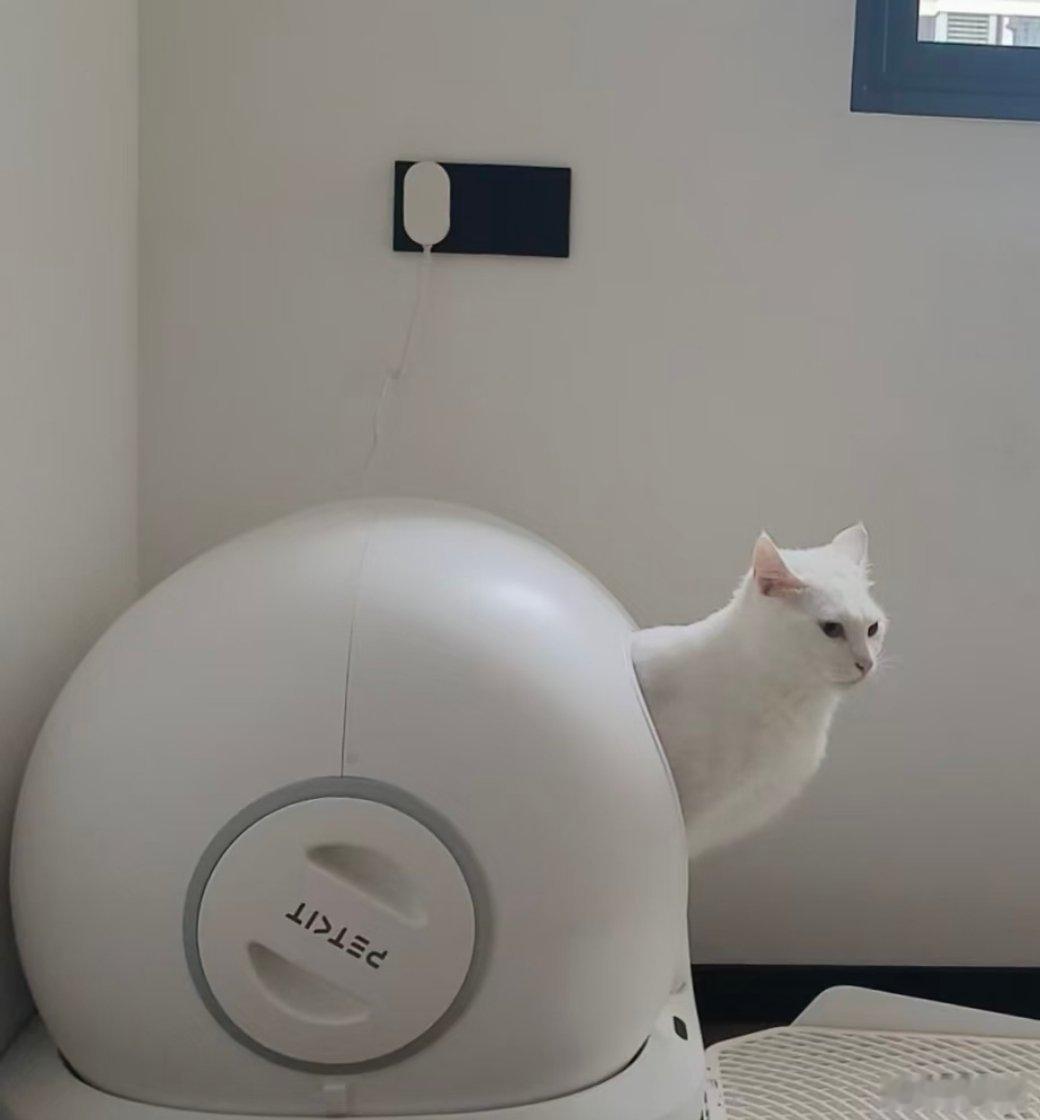 蜗牛猫🐌勾勾每次都这样撑着拉 ​​​