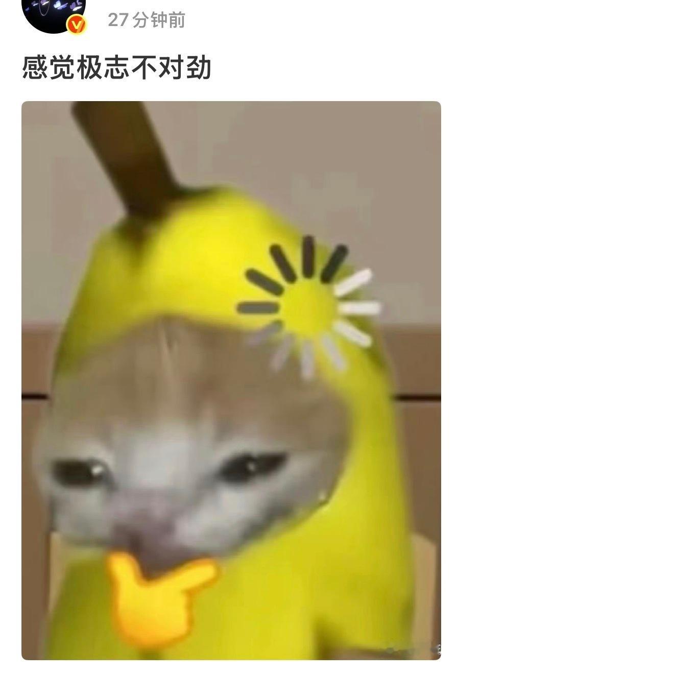 朴嬤磕的正起劲呢评论区别扫兴 ​​​
