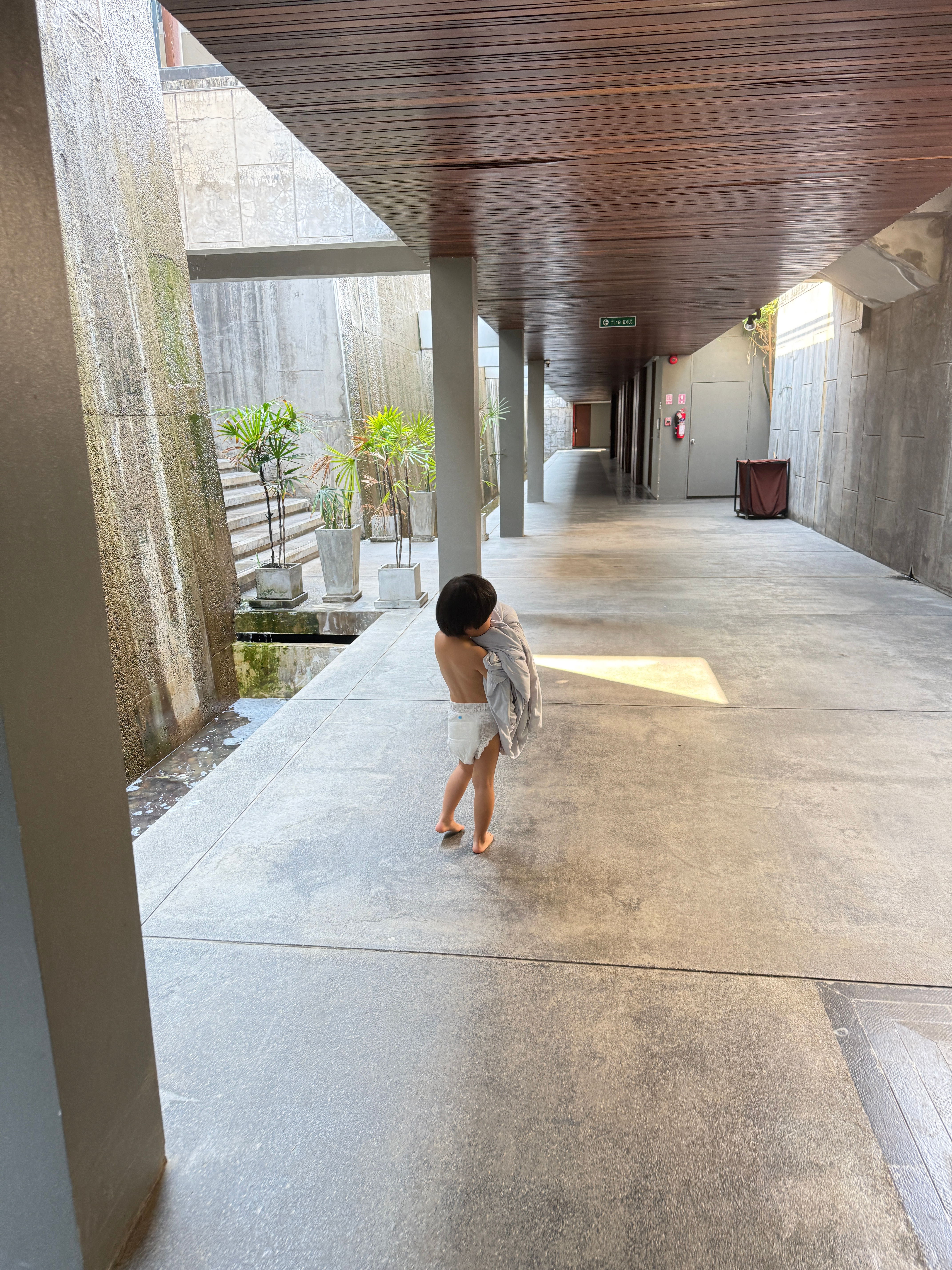 球宝要带着葡萄被去餐厅我无所谓但是旅蛙不让俩人在那儿较劲我无辜受牵连旅毛球清迈行