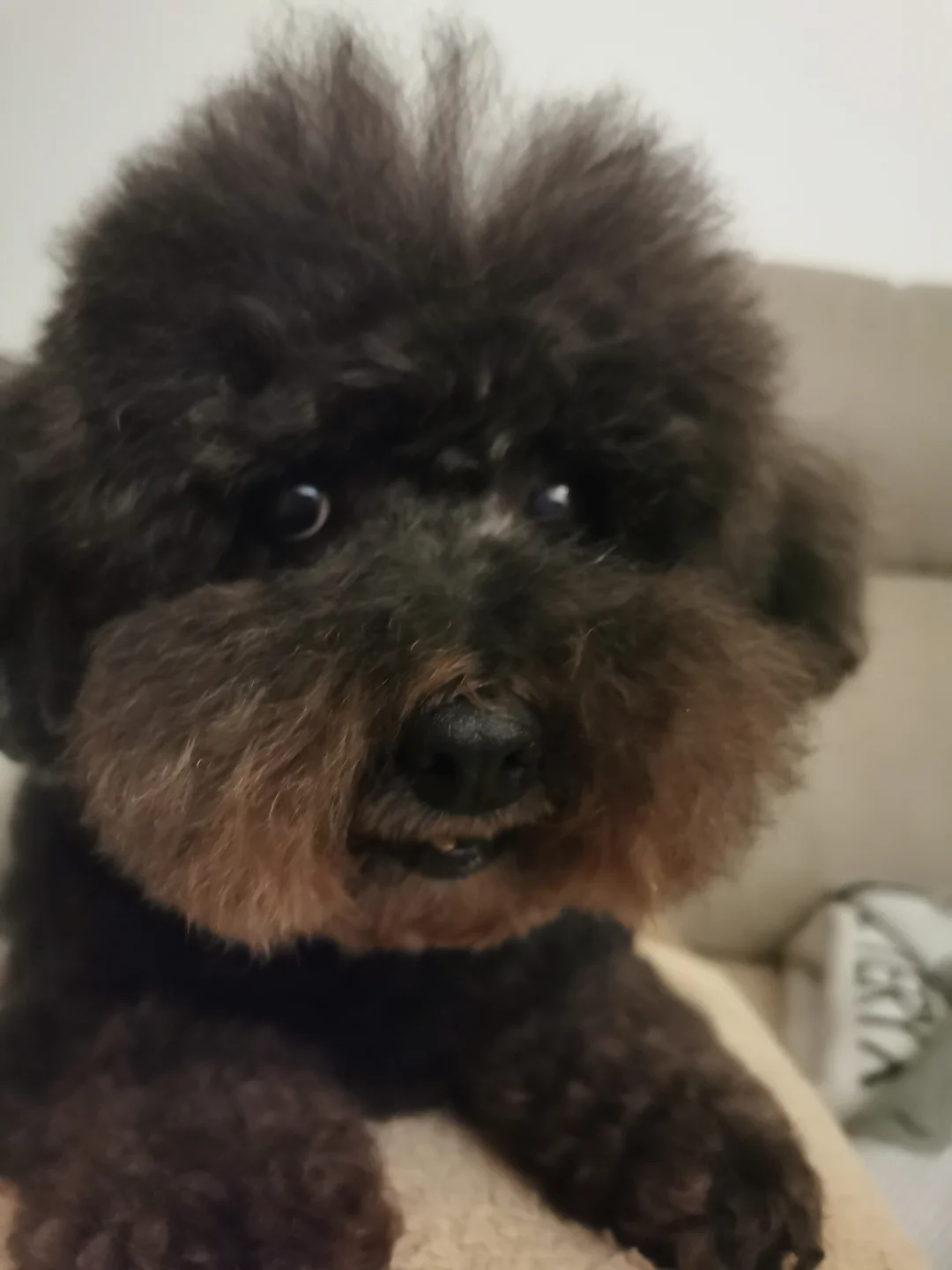 细软头发，两边倒