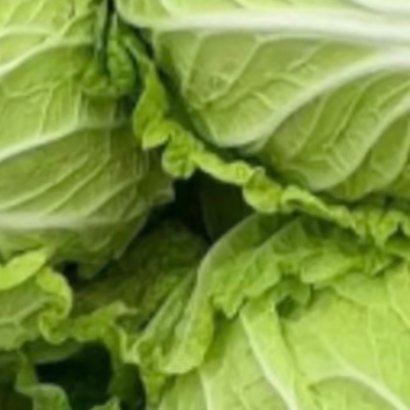 白菜的种植方法一、选种与选地根据季节选合适品种，如秋冬选耐寒的“北京新三号”，夏