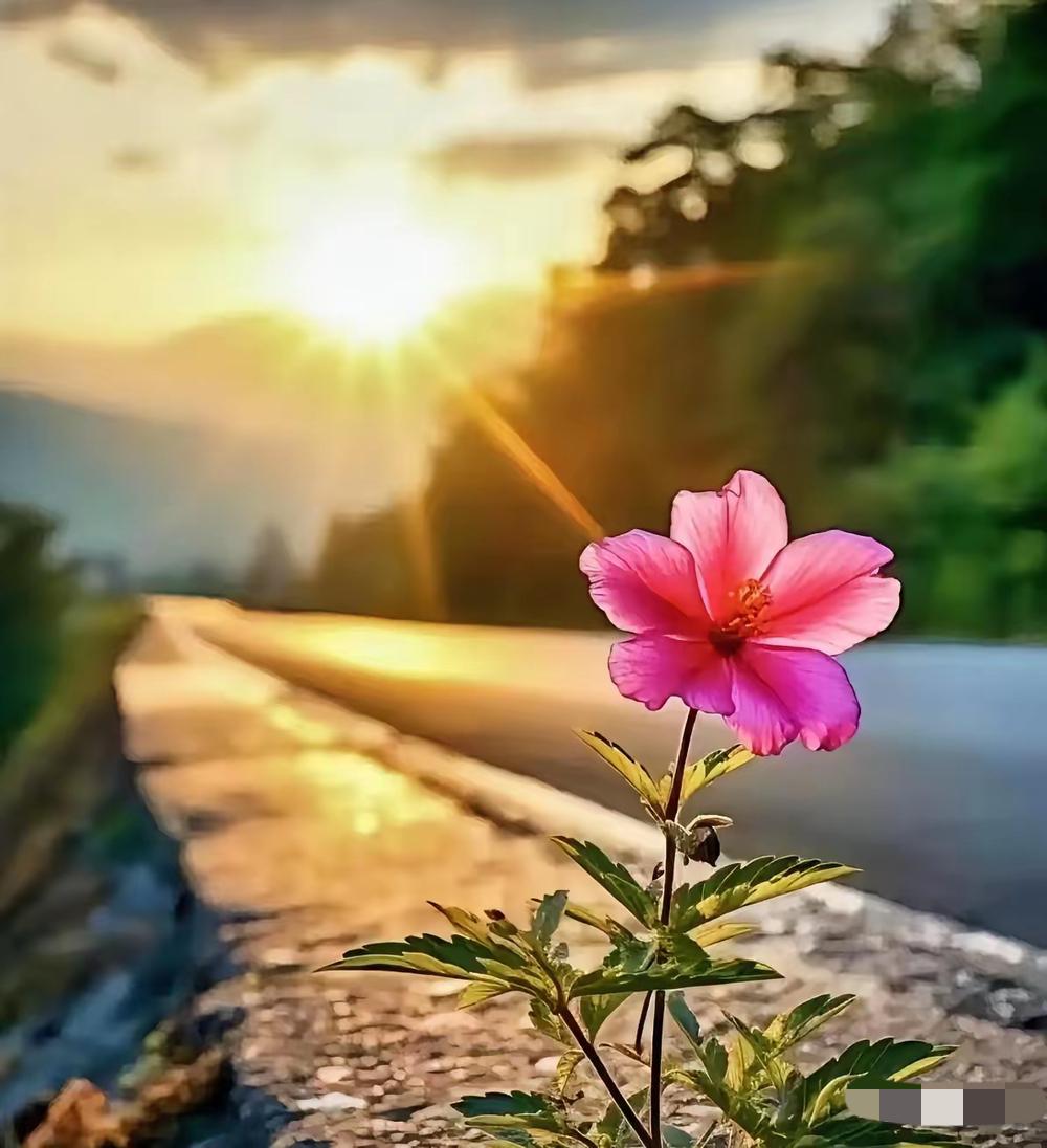 老中医一句话让我破防了！他说“健身房暴汗是泻阳气，晒太阳才是真补”，这和“生命在