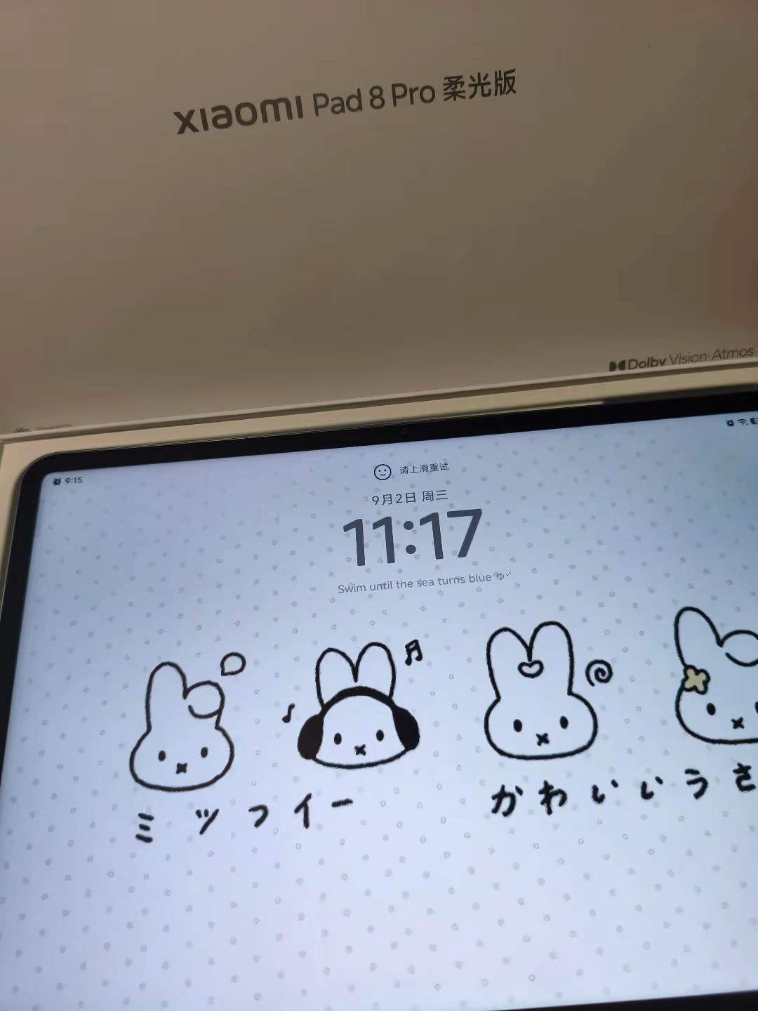 什么都是假的 只有我刚买的小米pad8pro柔光版是真的小米平板8pro柔光版