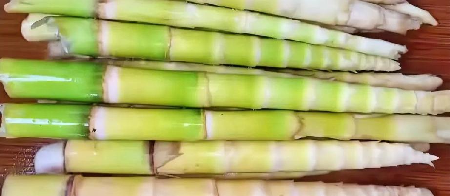 感谢你的评论[祈祷]小竹笋的做法很多，例如:小竹笋炒腊肉，小竹笋炒咸菜，小竹笋炖