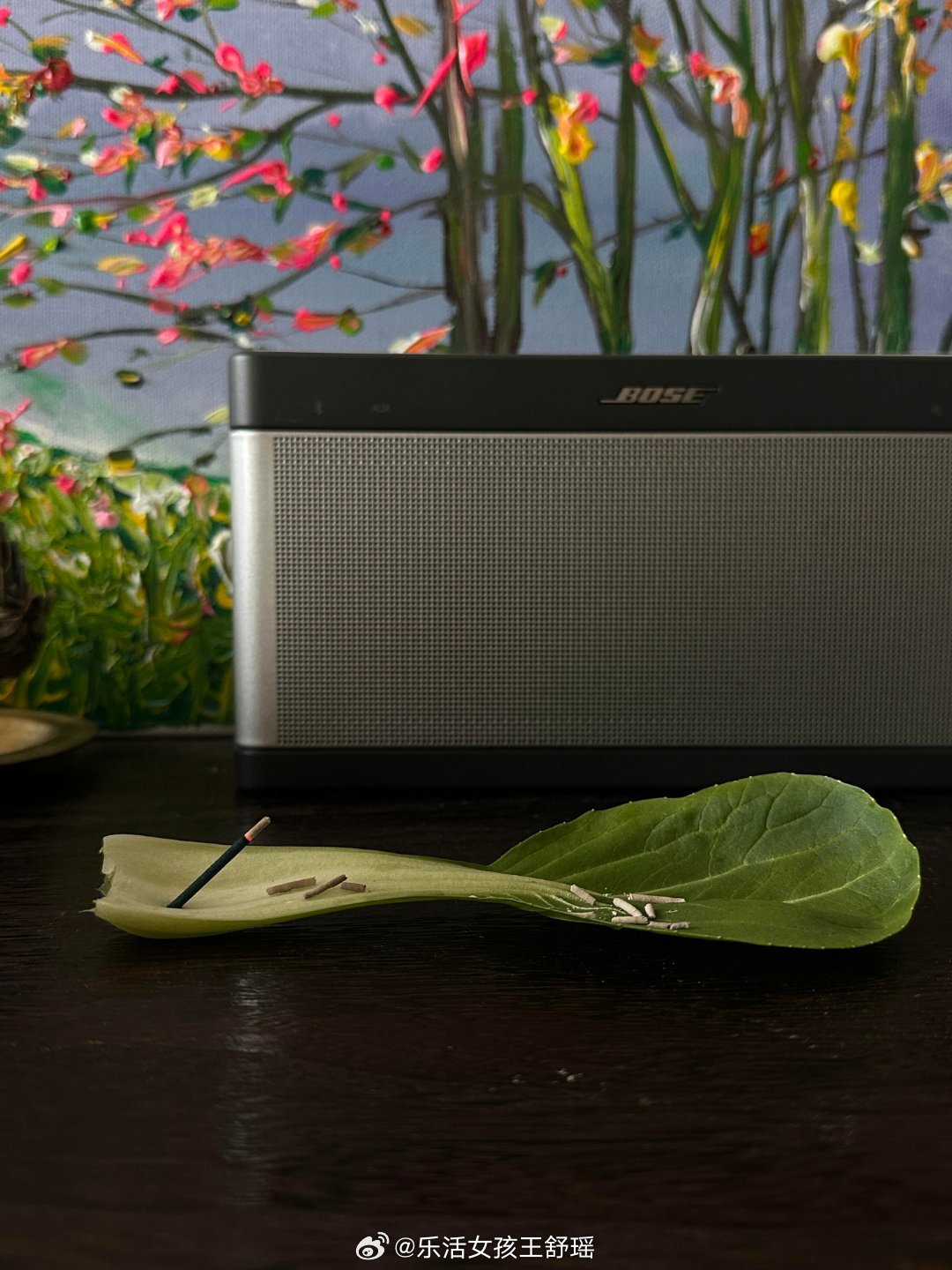 蔬香门第此刻具象化了万物皆可做香插器型实用 菜场大师手工拉胚春风里派对青醒高光t