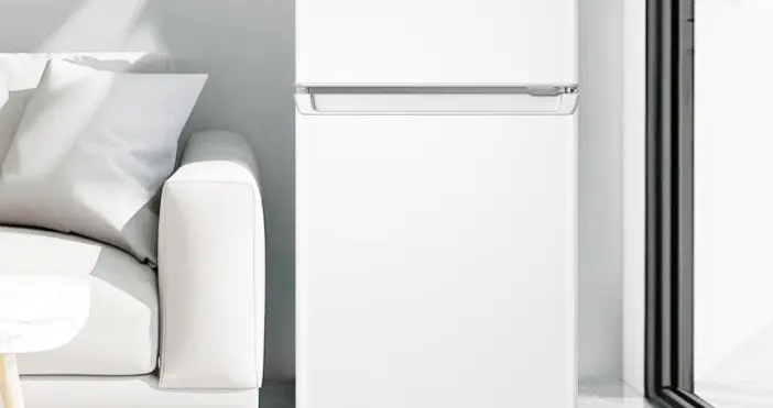 冰箱“小而美”市场：在细分需求中开启增长新周期