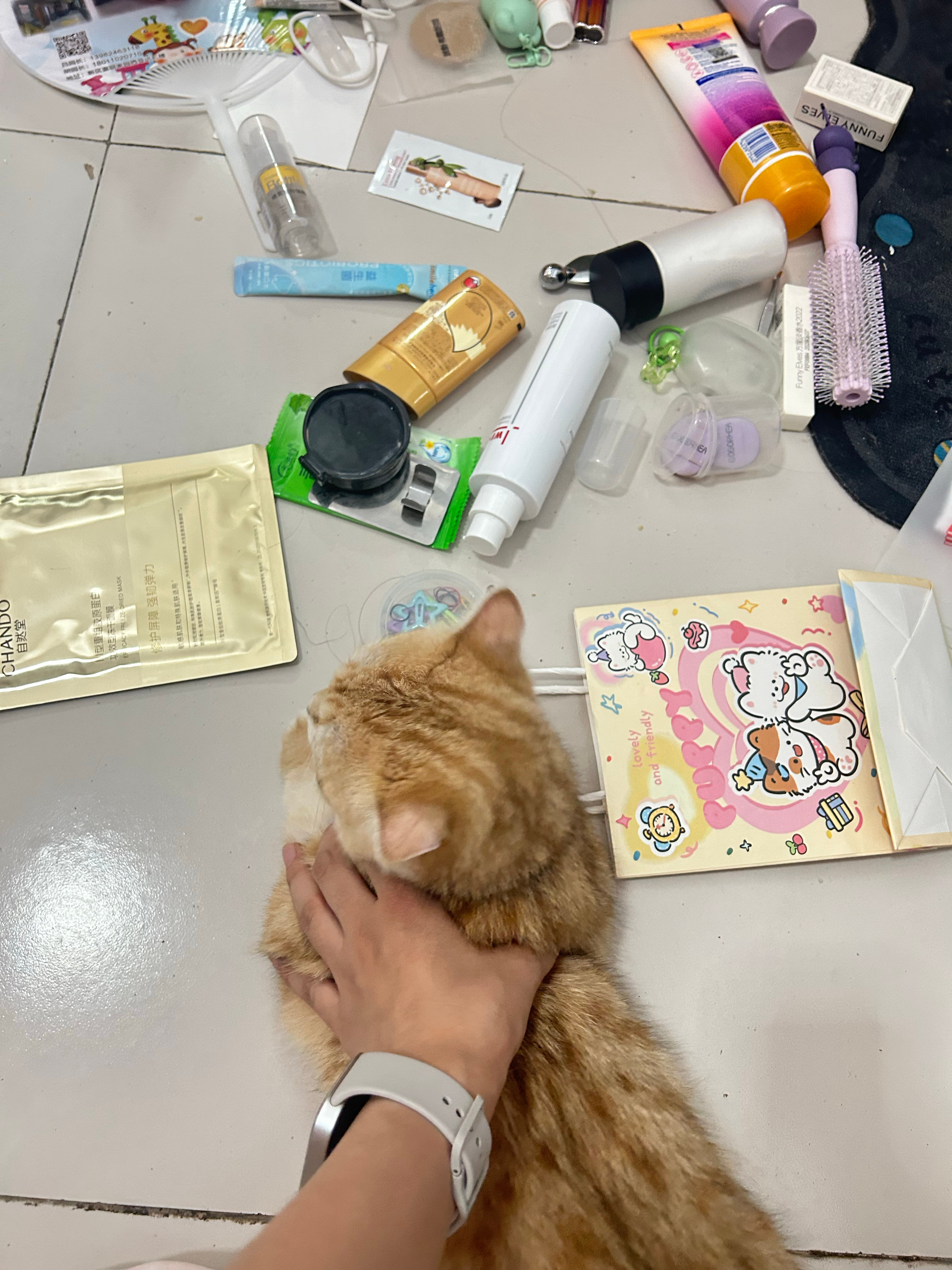 是非对错我已不想多问了 