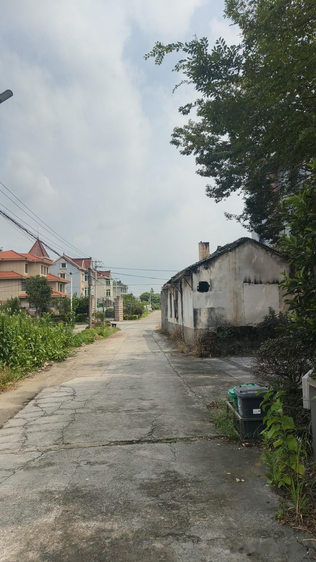 打这儿路过，远远望去就觉着景致格外动人，便随手定格了画面，其实只要多花点心思留意