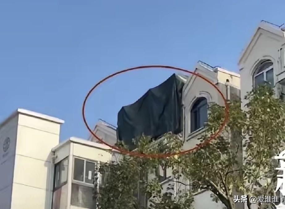 上海一位姓邱的先生，因为看不惯小区里有业主在楼顶搞违建，就做了件他觉得挺普通的事