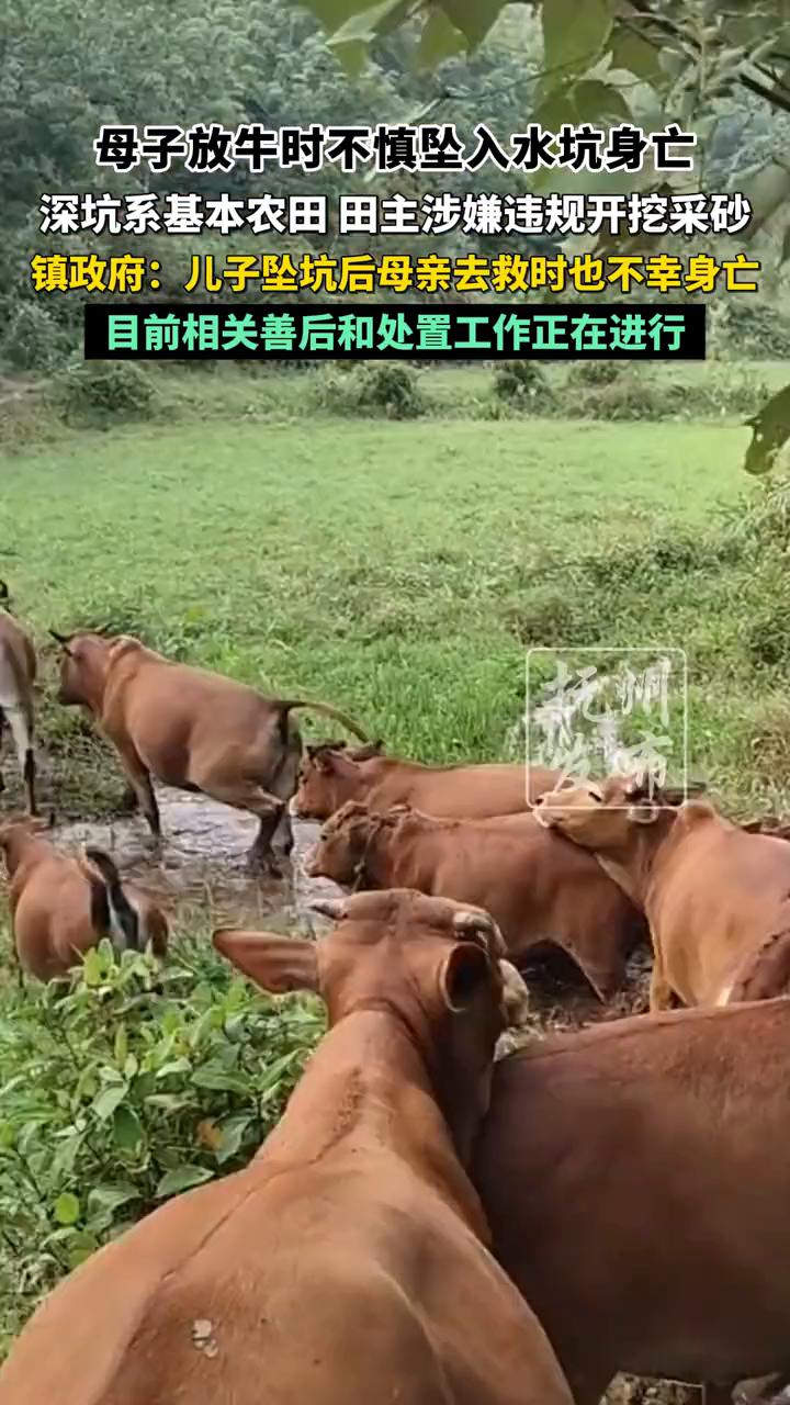 母子放牛时不慎坠入水坑身亡，深坑系基本农田，田主涉嫌违规开挖采砂。
大河报。
镇