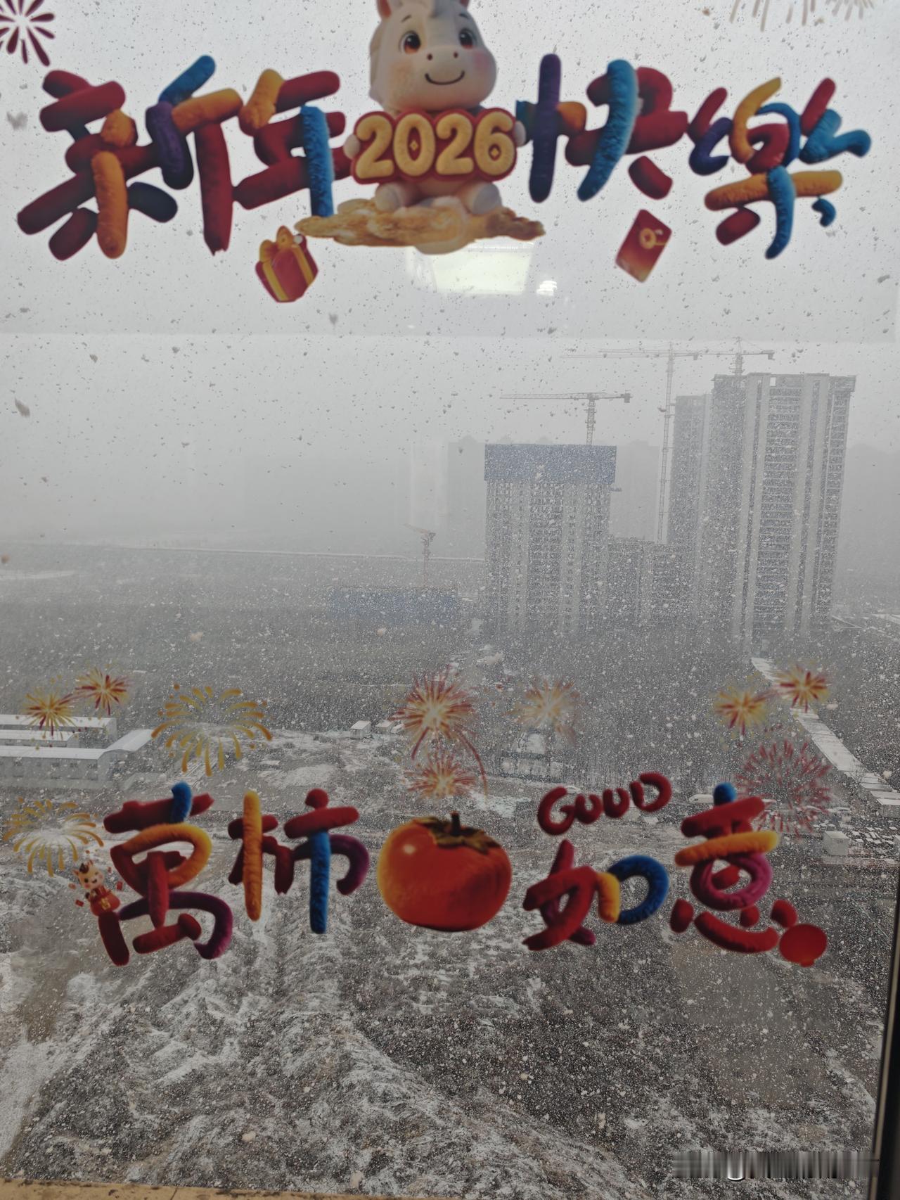 今天大年初七了，昨晚的小雨已经到中午变成了鹅毛大雪了。这是瑞雪兆丰年的节奏，今年