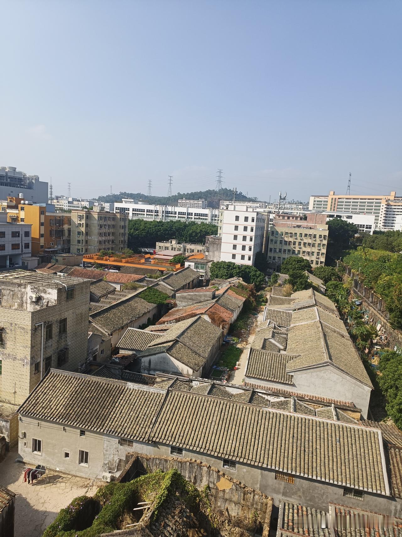 这老房子挨着新楼的景象，像极了日子——一边是旧时光落满灰的瓦片，一边是新生活刚刷