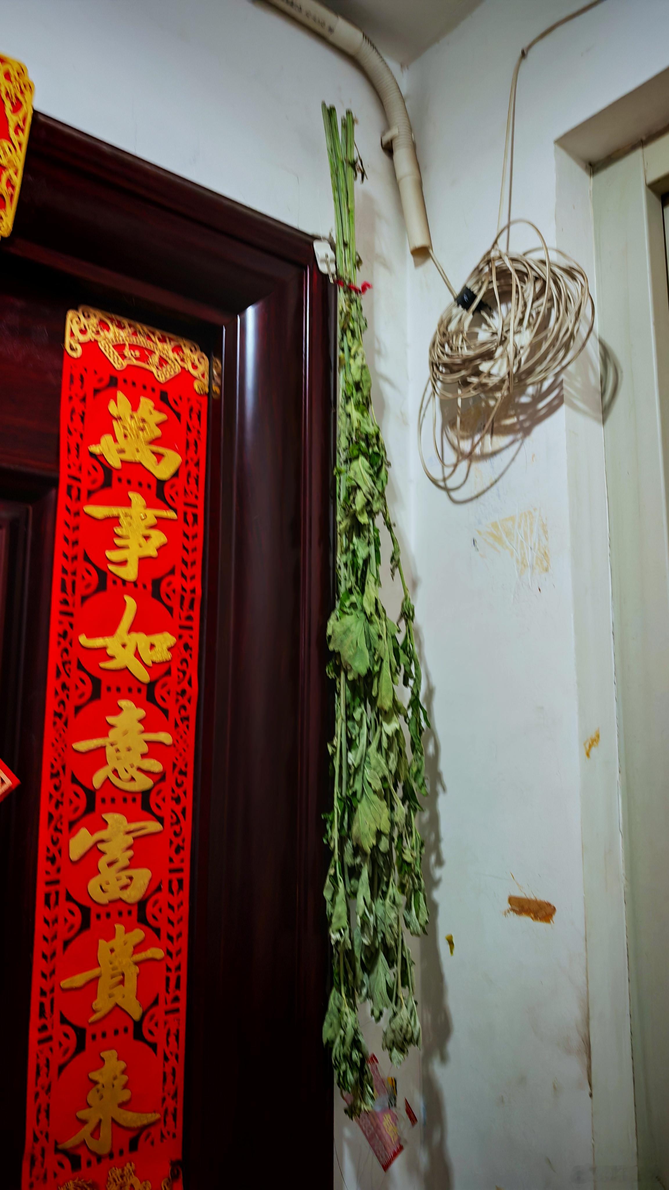 端午节 下班发现门口挂了一颗艾草，端午节氛围感一下子就上来了 北京·对外经济贸易