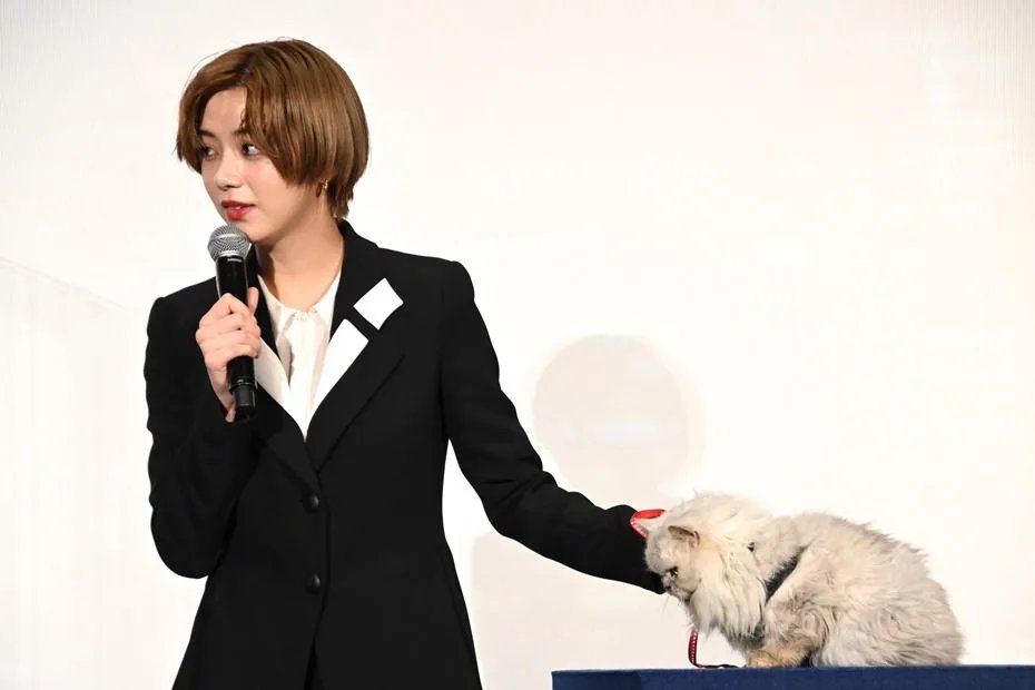日娱新闻池田依来沙 池田依来沙 日媒《ザテレビジョン》老图 