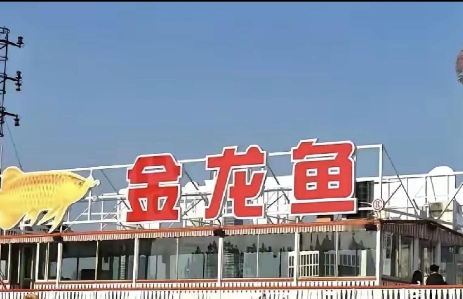 真没想到啊
！有些外企在咱们这儿搞本土化，简直玩得滴水不漏，就连起名字都特别会来