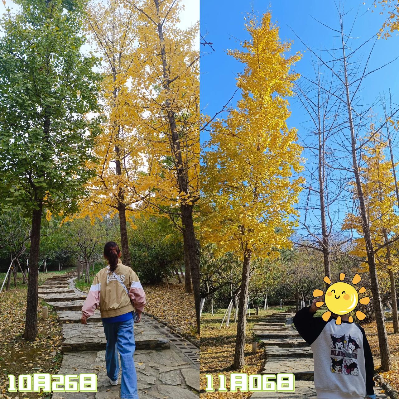 #五年级# 11月6日 半天的周三🧮总结：学校作业77分钟；课外阅读15分钟；
