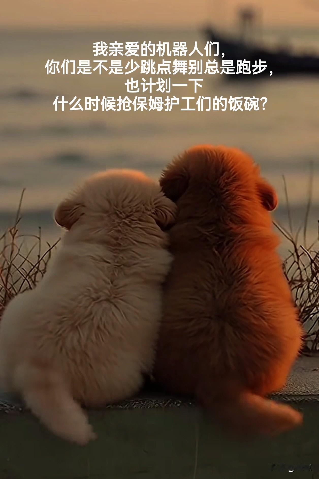 看了太多老人晚年被子女护工保姆虐待的事件，不由得瑟瑟发抖。
我这样六亲缘浅的单身