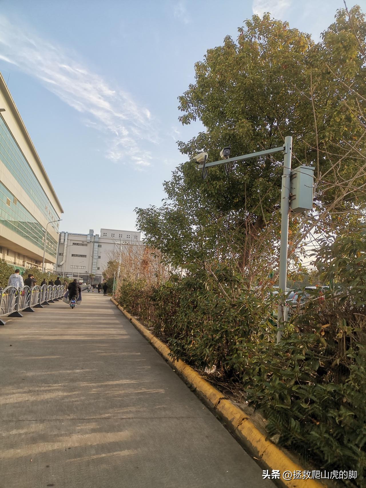 风和日丽
一切顺利