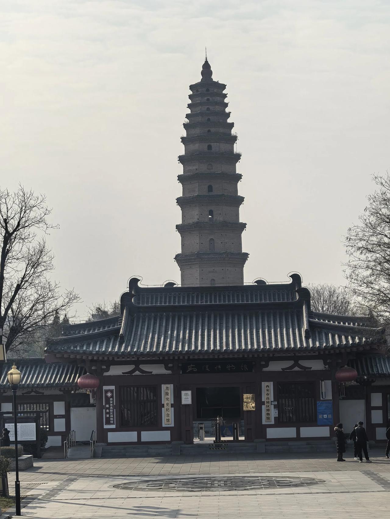 天气预报今天最低温度零下4度，但中午温度最高达到8度，感觉暖融融，十分惬意。我也