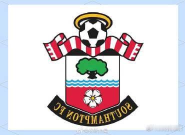 006英冠英冠 南安普敦VS西布罗姆维奇南安普顿近几年两次降级，这次降级后球队似