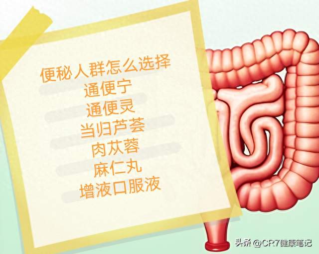 便秘选药看体质：泻火、润肠、补虚，你选对了吗？