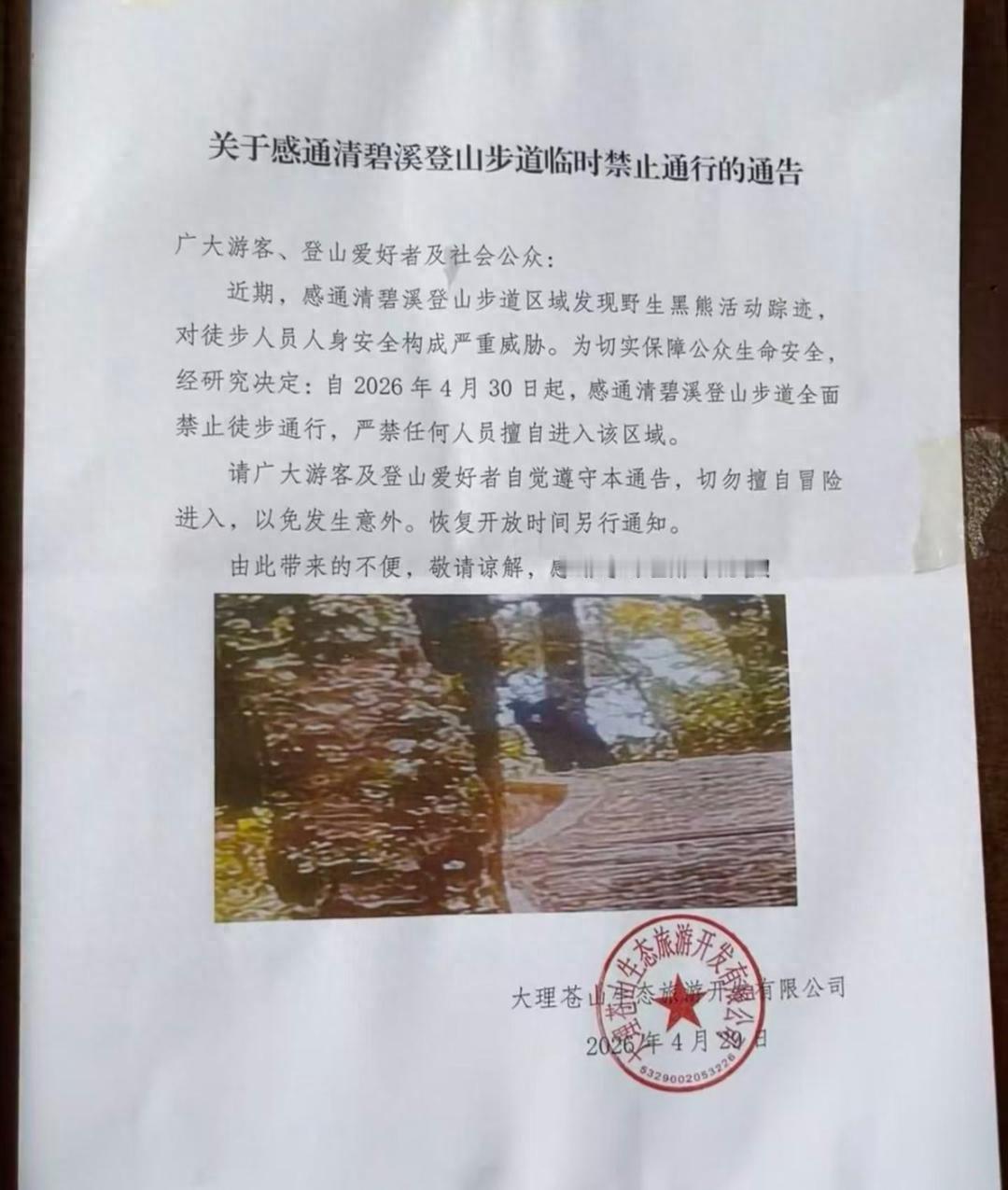 4月30日，大理苍山景区突然发布安全紧急预警，起因是景区内感通清碧溪登山步道周边