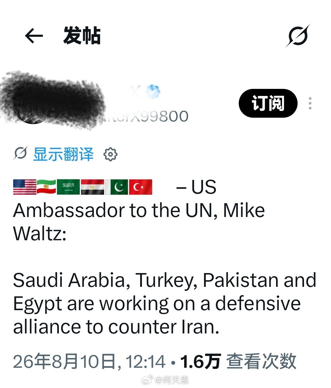美国驻联合国大使迈克·沃尔兹：沙特阿拉伯、土耳其、巴基斯坦和埃及正在筹建一个防御