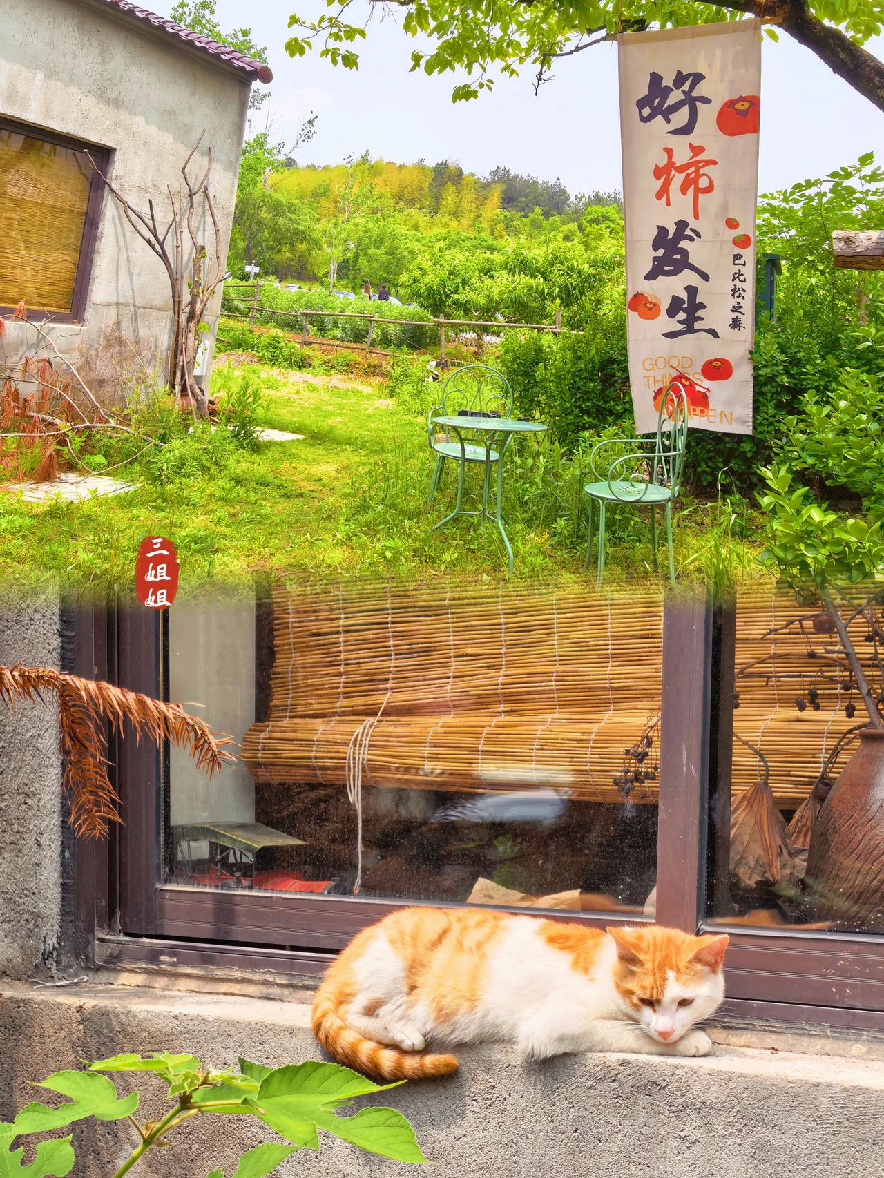去溧阳石塘，享美好村光。
石塘村坐落在江苏溧阳天目湖镇，紧邻大溪水库，景色秀丽，