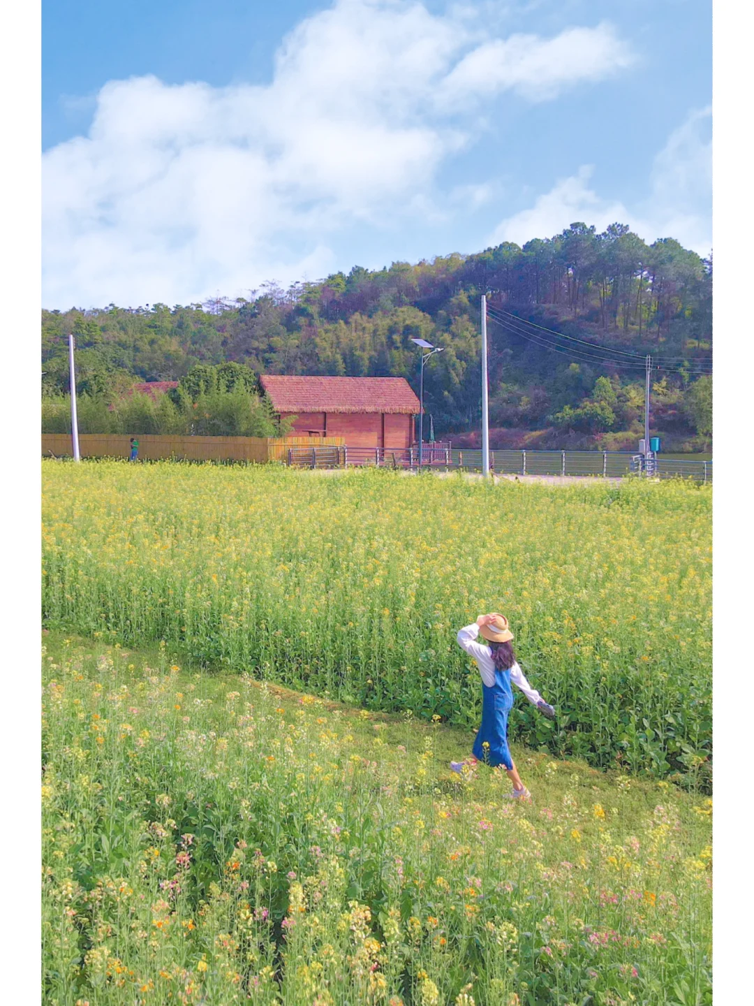 走进广州早春漫画里🌼彩色油菜花田🚂小火车