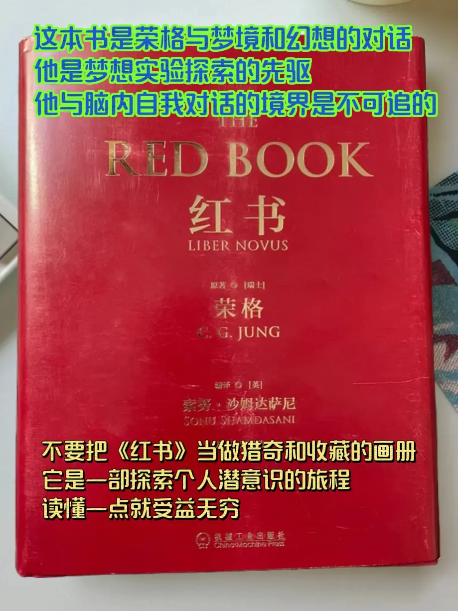 《红书》是荣格的私人日记，记录了他1914~1930年的“自我实验”...