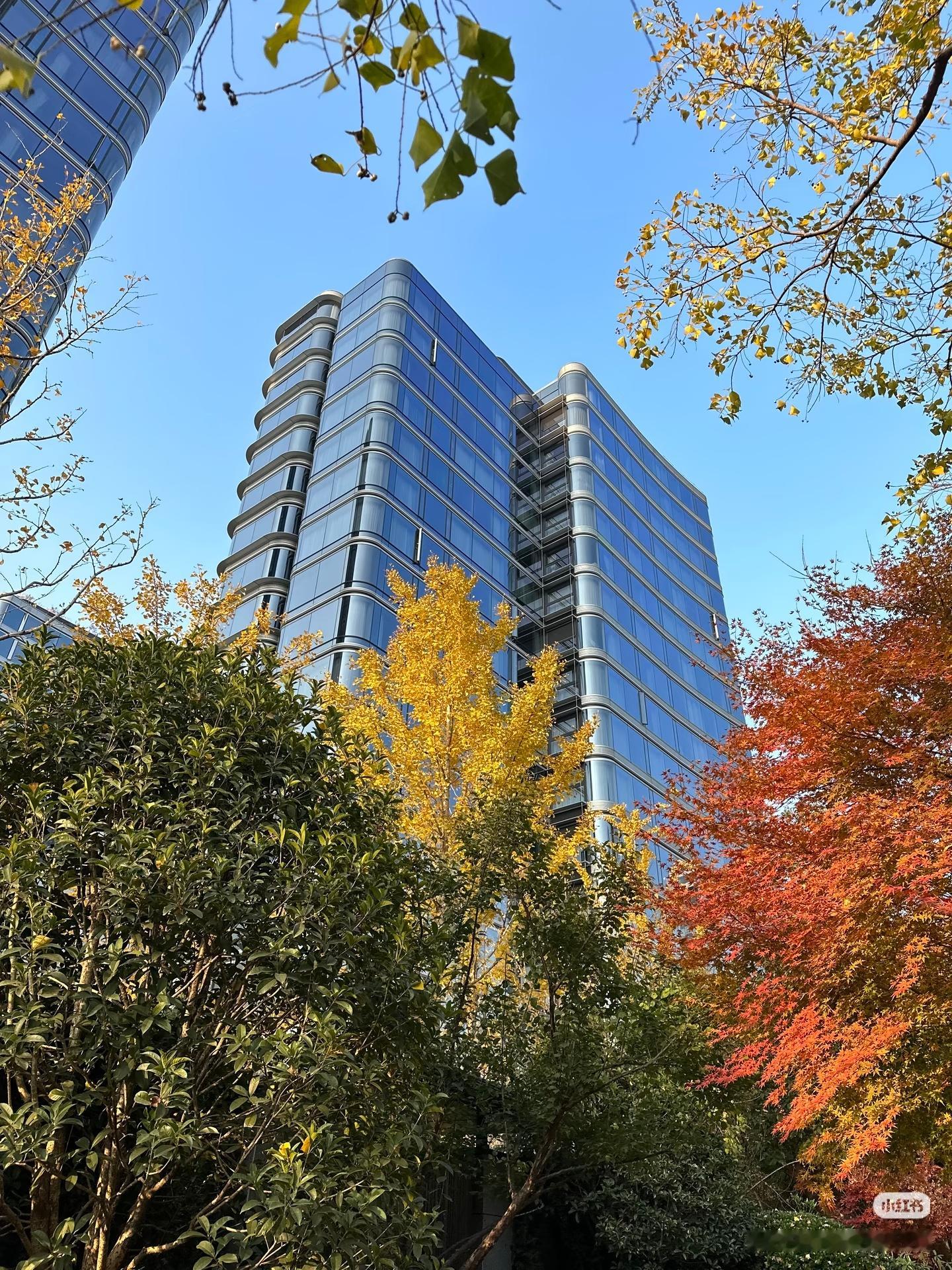 杭州新房，看起来品质很高，估计深圳卖20多万都达不到，