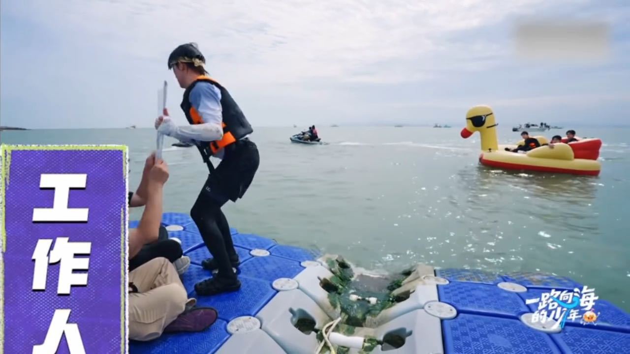 苏新皓不看到最后永远猜不到要干嘛苏新皓游过去一把夺走题板一路向海的少年 一路向海