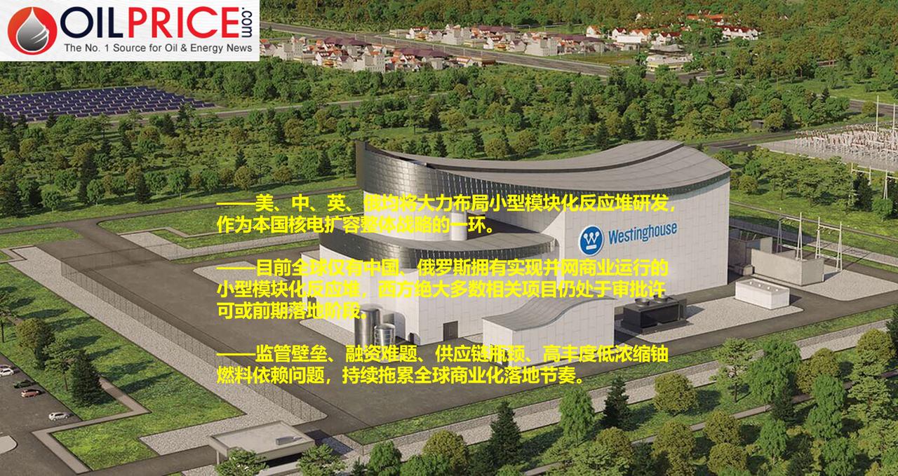 小型模块化反应堆革命为何进展迟缓？

21 世纪 20 年代初，市场曾对小型模块