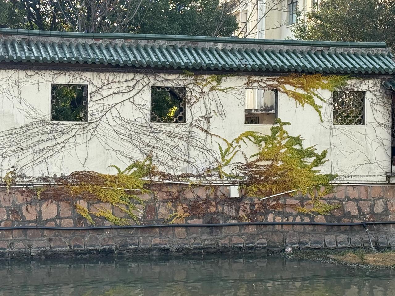 走在路上 一直需要看看周围不一样的景致
这就是美好
新一年 总会有美好在路上