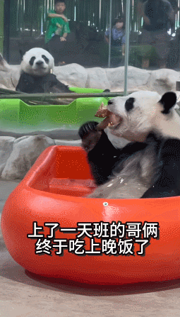 这大概就是每天最温馨的时刻了 ​​​