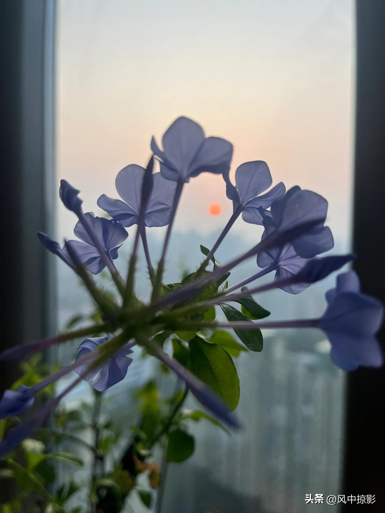 清晨的太阳，喜欢能看到日出的卧室，每天醒来就能看到东方那一抹朝霞，有时起得稍晚，