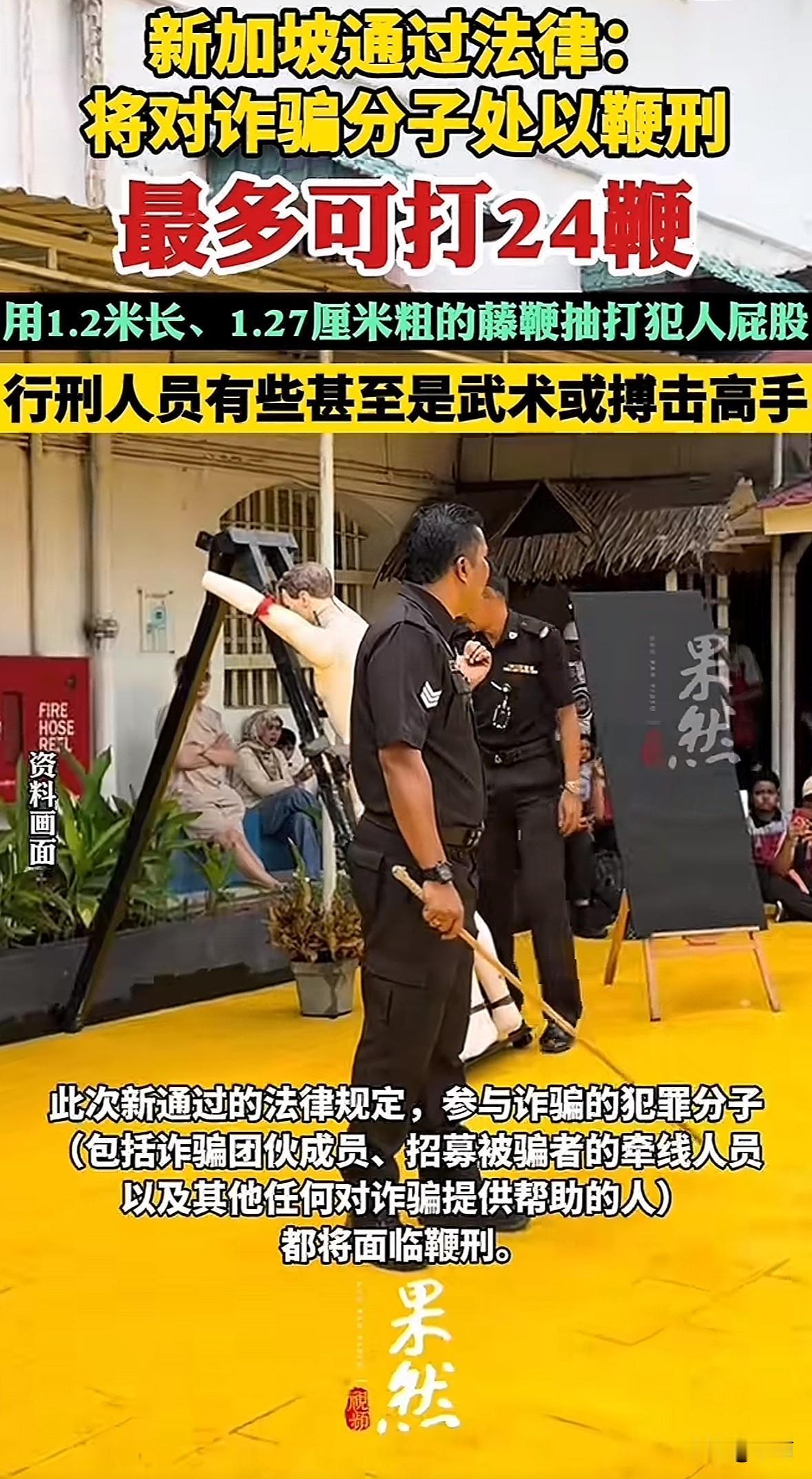 2025年11月4日新加坡国会通过新法律，诈骗分子将被处鞭刑。主谋、团伙成员等罚