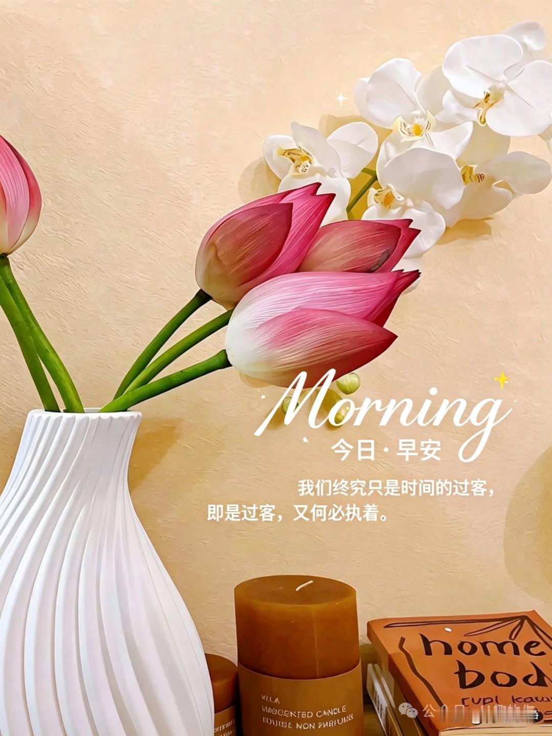 ✍️²⁰²⁶/₀₆.₀₈ *ᵕ̈ 周一｜早安祝福☀️🍃🍎🐎🌸
🍃𝐆?