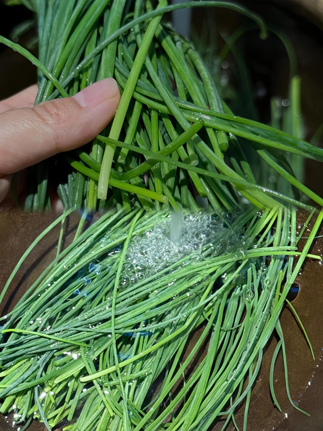 北方朋友藏得深呀，这么好吃的东西居然瞒到现在?

你们北方人也太能藏宝了吧!这么
